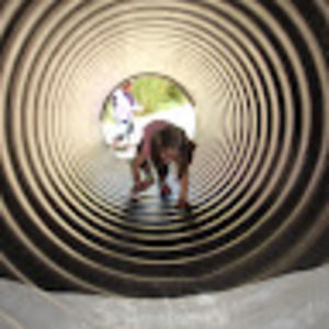 Meet your Posher, Audrey